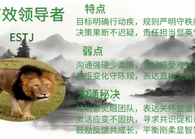 高效领导者ESTJ，目标明确行动疾，规则严明守秩序