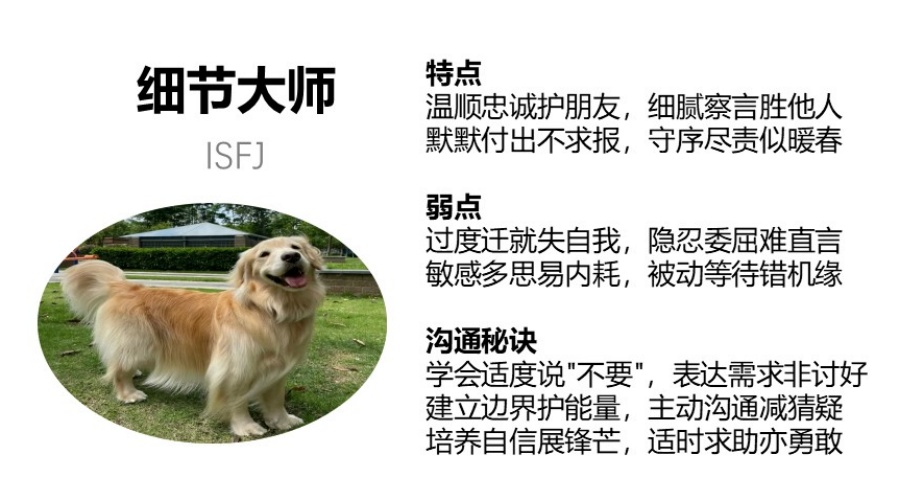 2.isfj细节大师.jpg