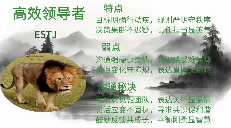 3.高效领导者.jpg