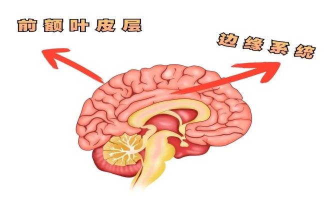 93749FFC1E24728495833B157AE8A687C3A2DFFE_size67_w1000_h912.jpg
